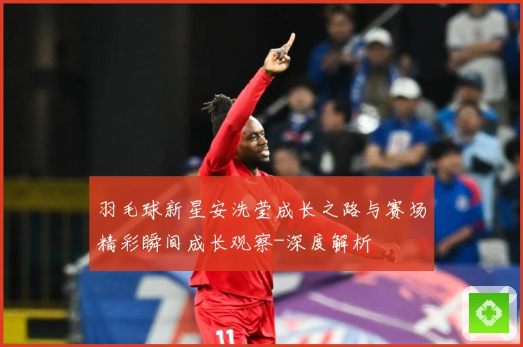 羽毛球新星安洗莹成长之路与赛场精彩瞬间成长观察-深度解析