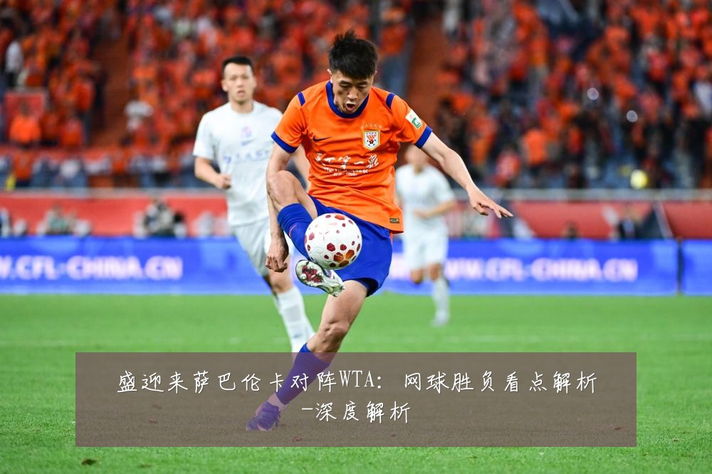 盛迎来萨巴伦卡对阵WTA：网球胜负看点解析-深度解析